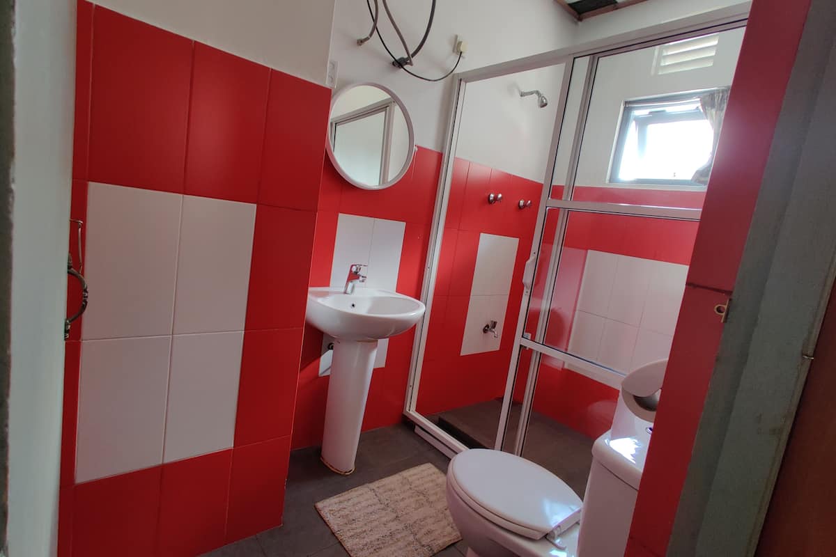 shower, free toiletries, hair dryer, slippers