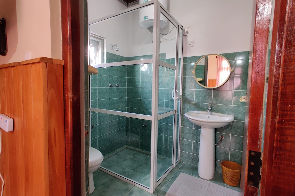 shower, free toiletries, hair dryer, slippers