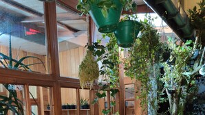 A wooden partition with multiple windows, potted plants, and a small garden area. - Carnation Rest (Nuwara Eliya)