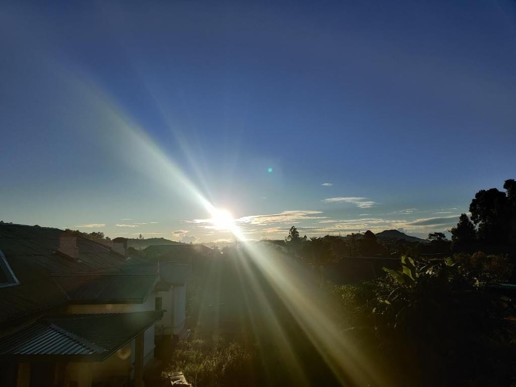 A sunrise over a residential area with houses and vegetation.