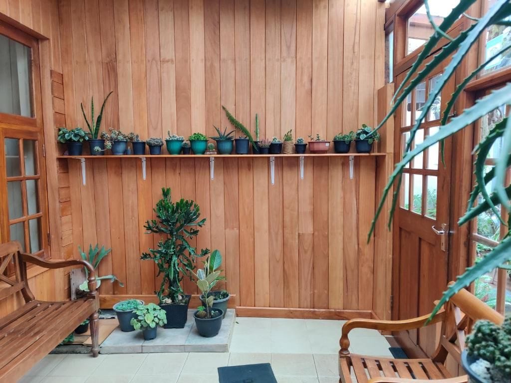 A wooden interior with a bench, a table, and a shelf with potted plants.