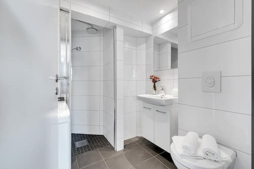 Shower, hair dryer, towels
