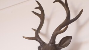 A mounted deer head with antlers. - Blair Drummond Holiday Home (Doune)