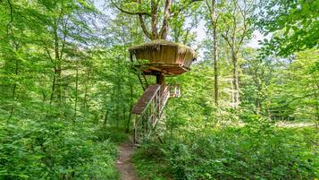 Une cabane perchée dans les arbres, construite au cœur d’une zone boisée, et à laquelle on accède par une échelle en bois.