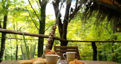 L'Arbre Ă Cabane