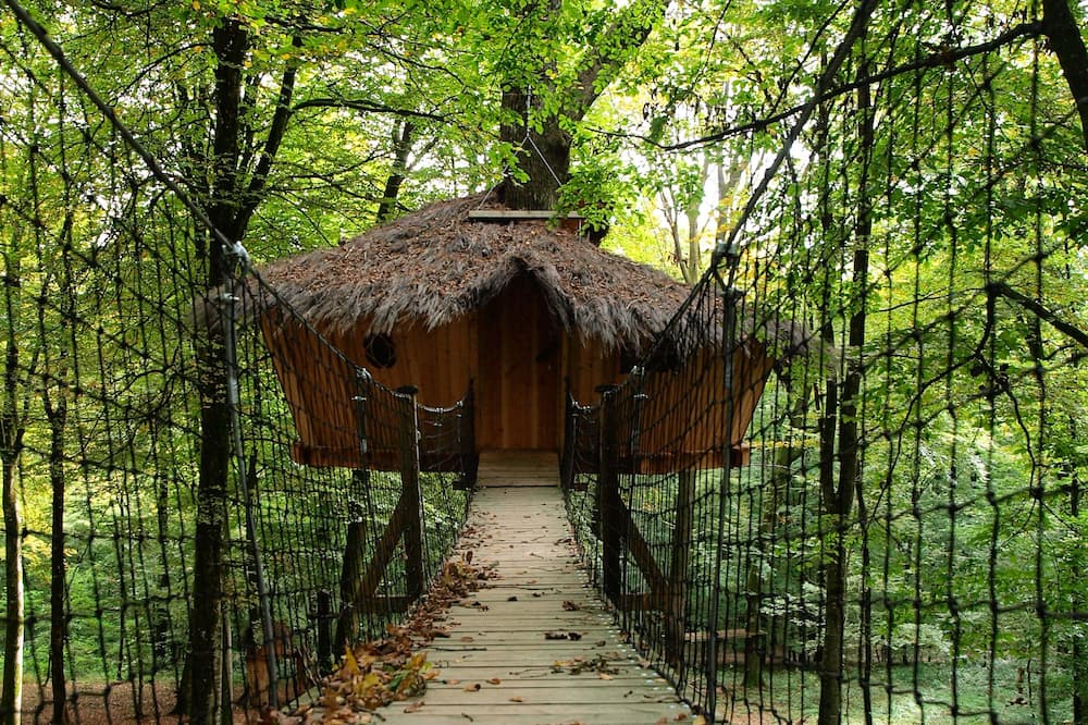 L'Arbre à Cabane