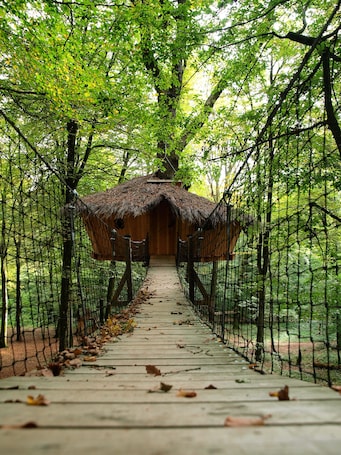 Entrada de la propiedad. L'Arbre à Cabane
