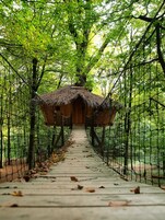 Un puente colgante de madera que conduce a una construcción de techo de paja rodeada de árboles.