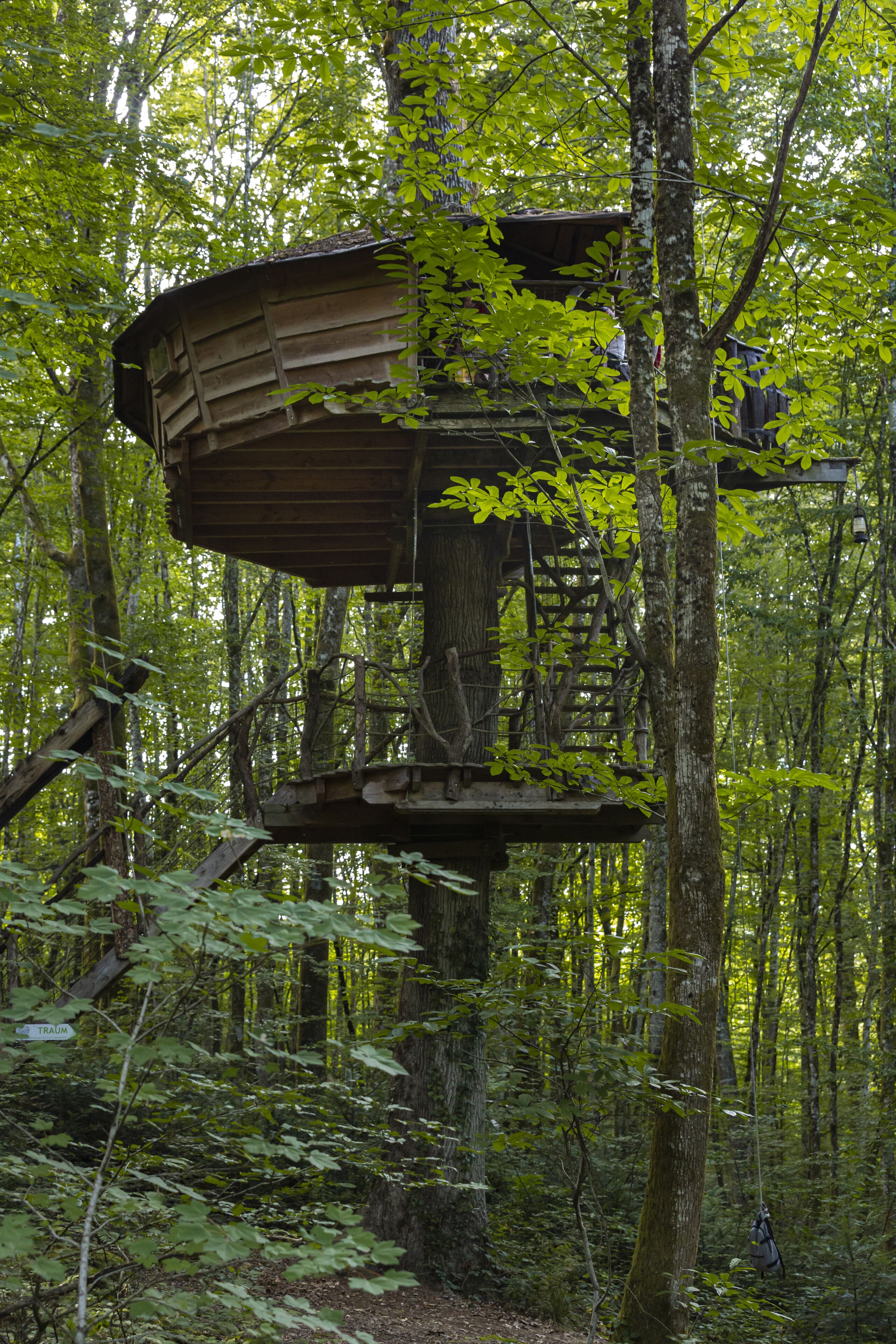 A treehouse structure in a forest.