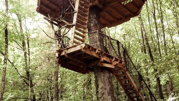 Une cabane dans les arbres, dotée d’une structure en bois, construite autour d’un grand arbre et comprenant une échelle et une plateforme.