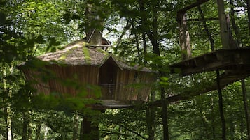 Tree House Tradition (El sueno) | Vue sur le jardin