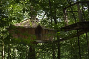Una casa en los árboles con techo de paja, rodeada de un bosque frondoso.