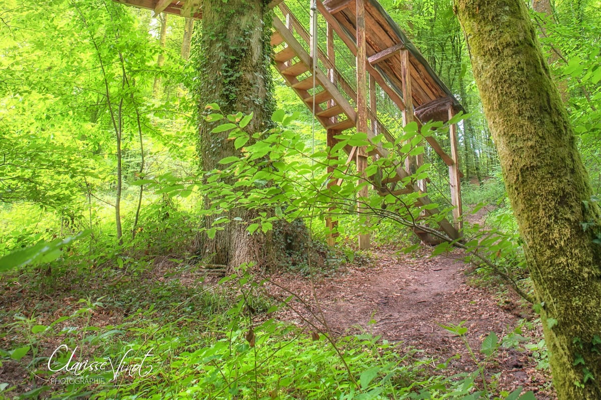 Panoramic Tree House, Multiple Beds | Premium bedding, bed sheets