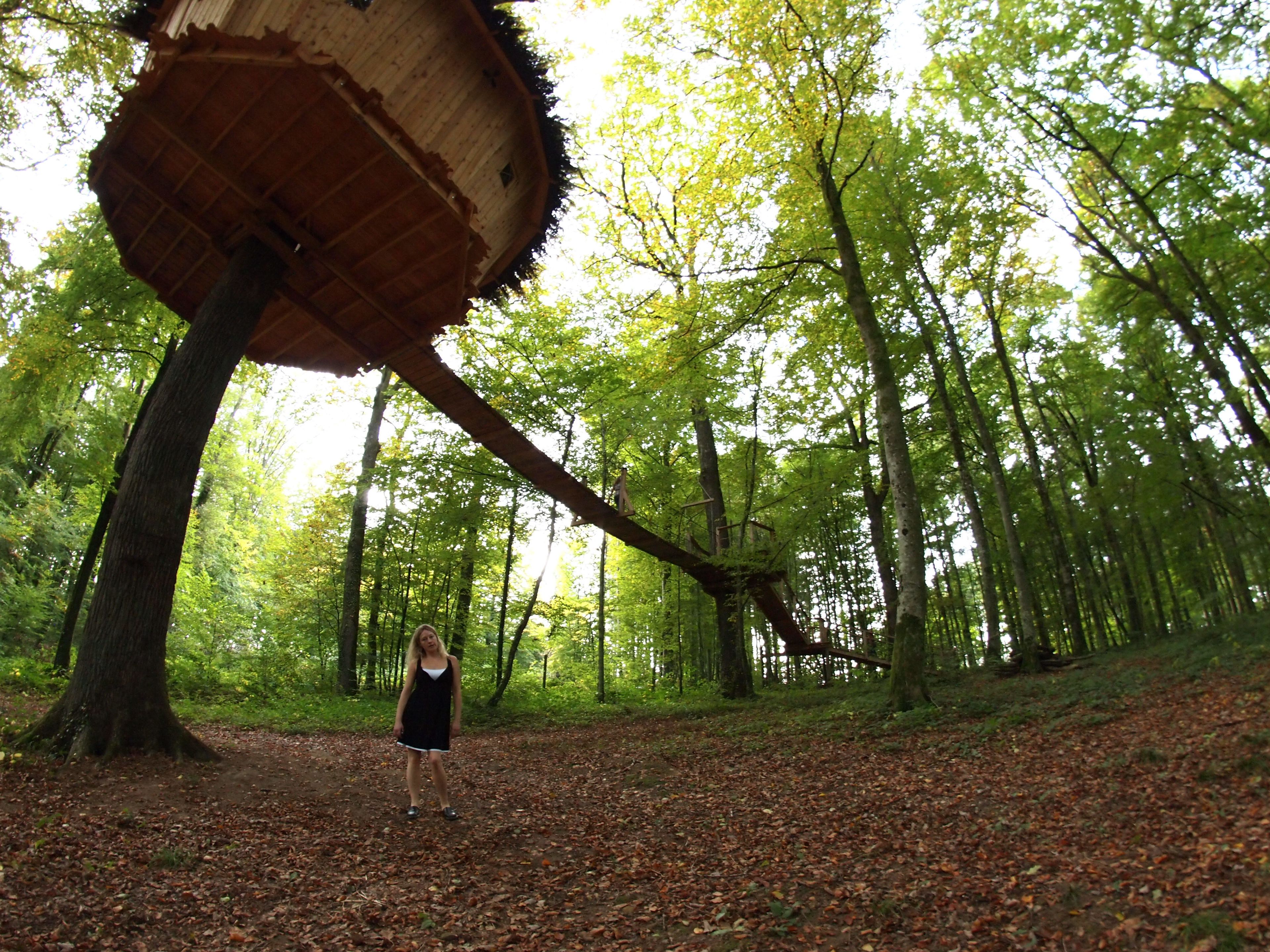Una mujer de pie sobre un sendero cubierto de hojas en un bosque con árboles altos y una estructura de madera sobre ella.