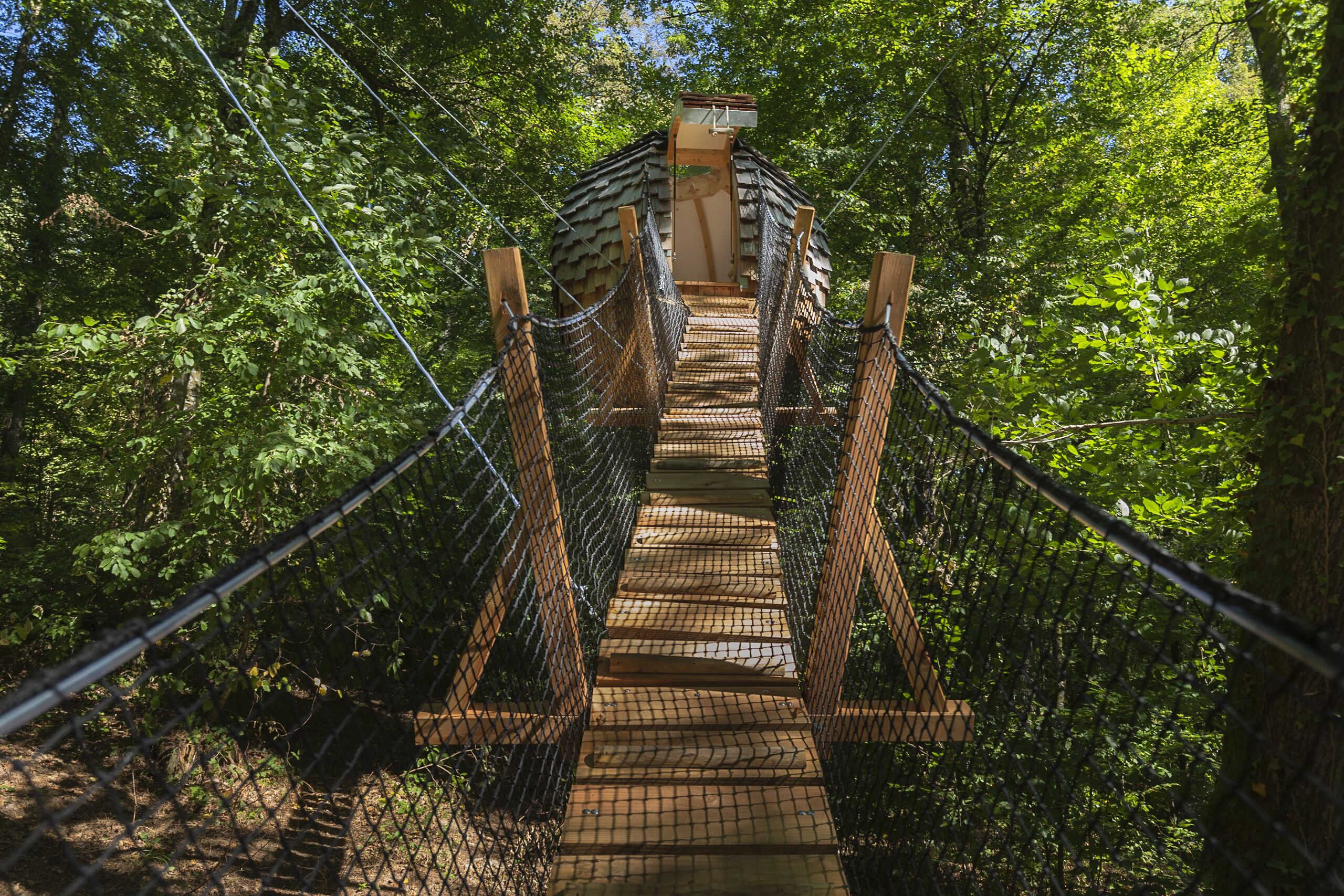 A wooden suspension bridge with a netted walkway surrounded by dense forest.