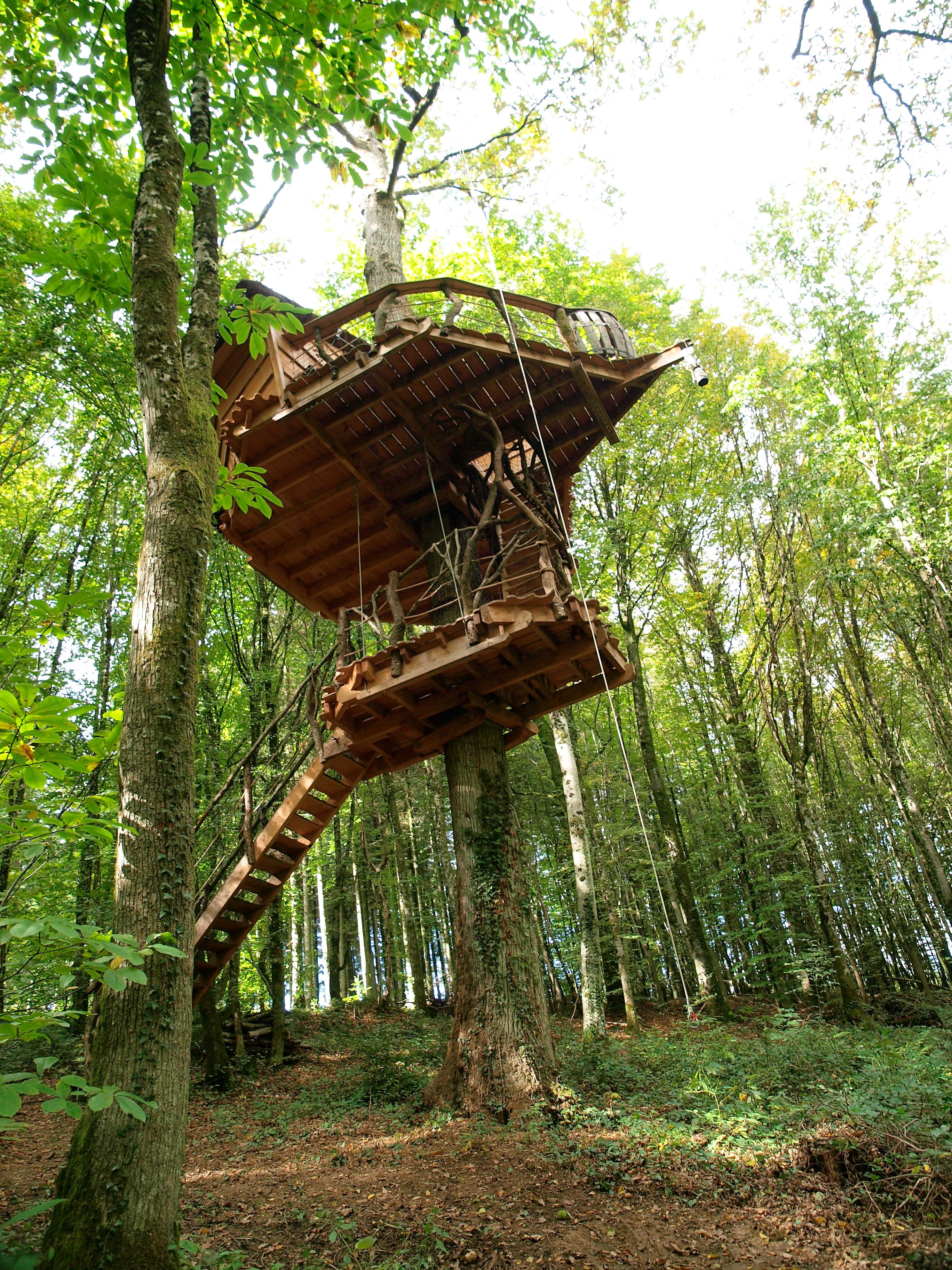 A wooden treehouse structure built into a forested area with a ladder leading up to it.