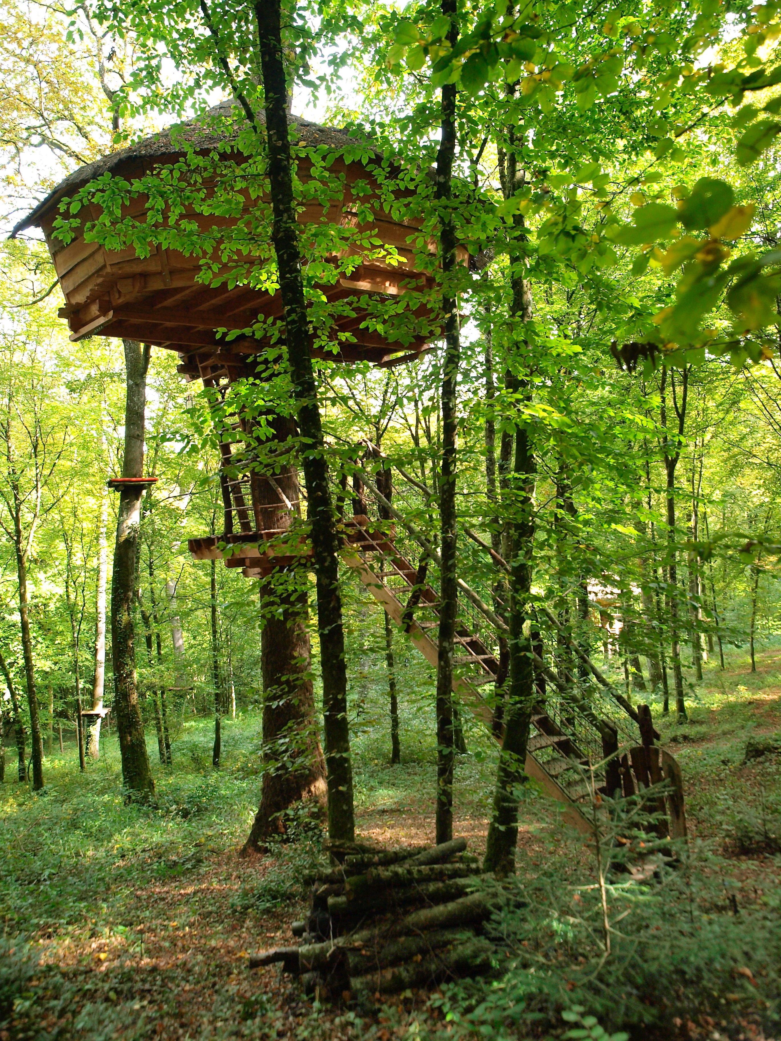 Una struttura di casetta sugli alberi in legno immersa in una fitta foresta.