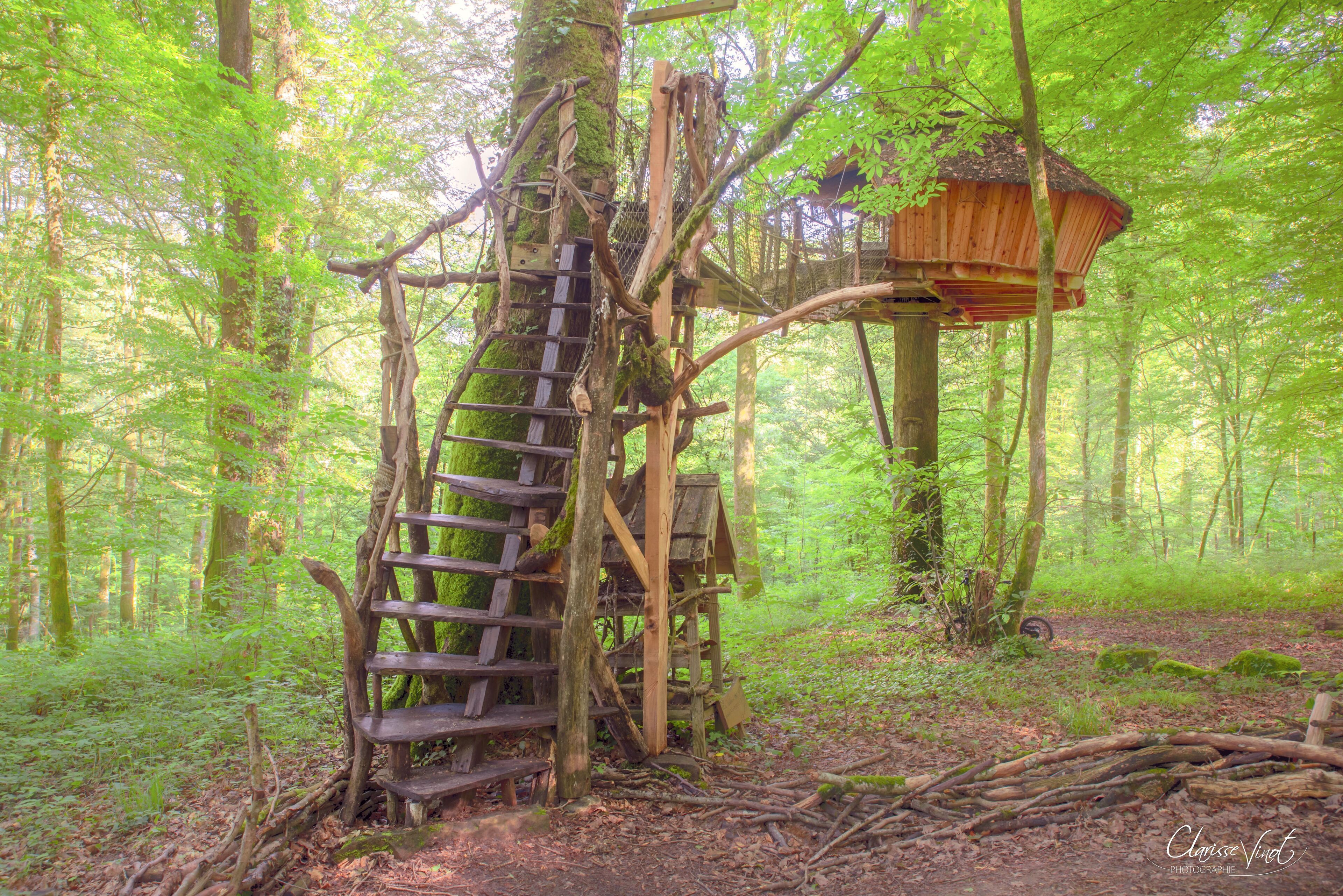 A wooden treehouse with a ladder, surrounded by a dense forest.