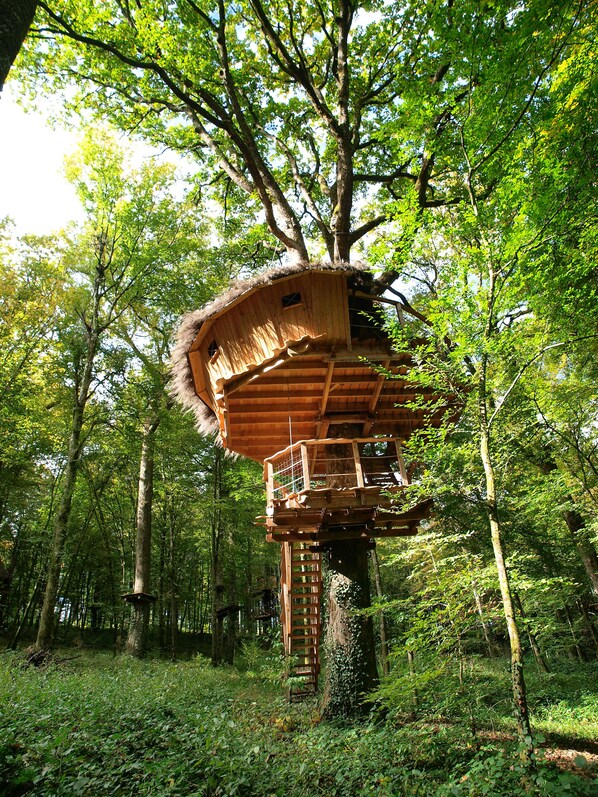 A treehouse with a wooden structure, built into a large tree, featuring a ladder for access. - L'Arbre à Cabane (Guyonvelle)
