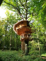 Una casa en un árbol con estructura de madera, construida en un árbol grande y con una escalera para acceder.