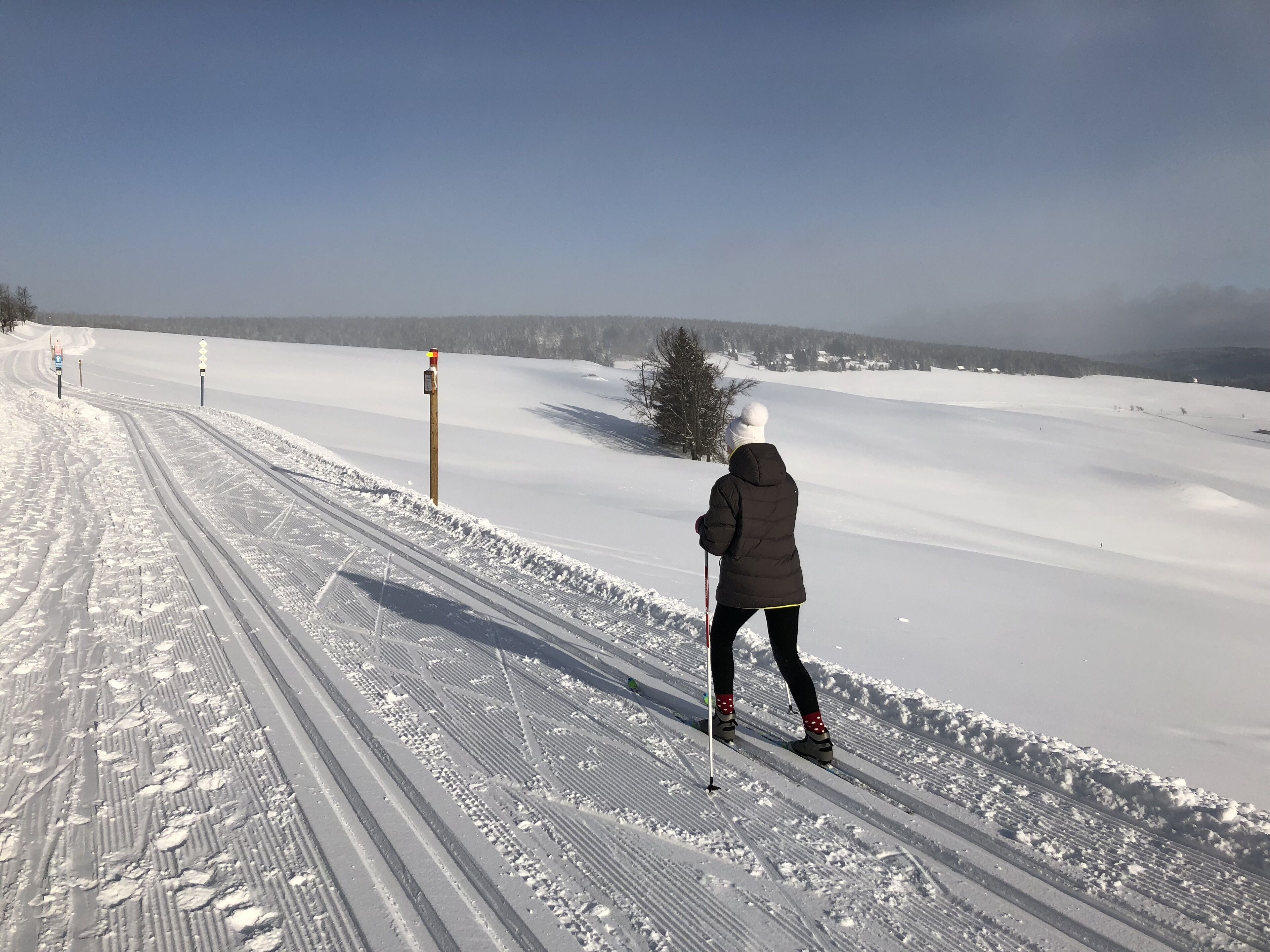 Uma pessoa esquiando de fundo em um caminho coberto de neve, sob um céu limpo.