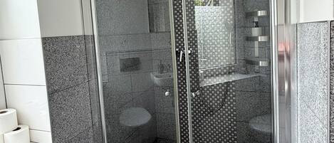 A modern bathroom with a glass-enclosed shower, a sink, and a toilet.