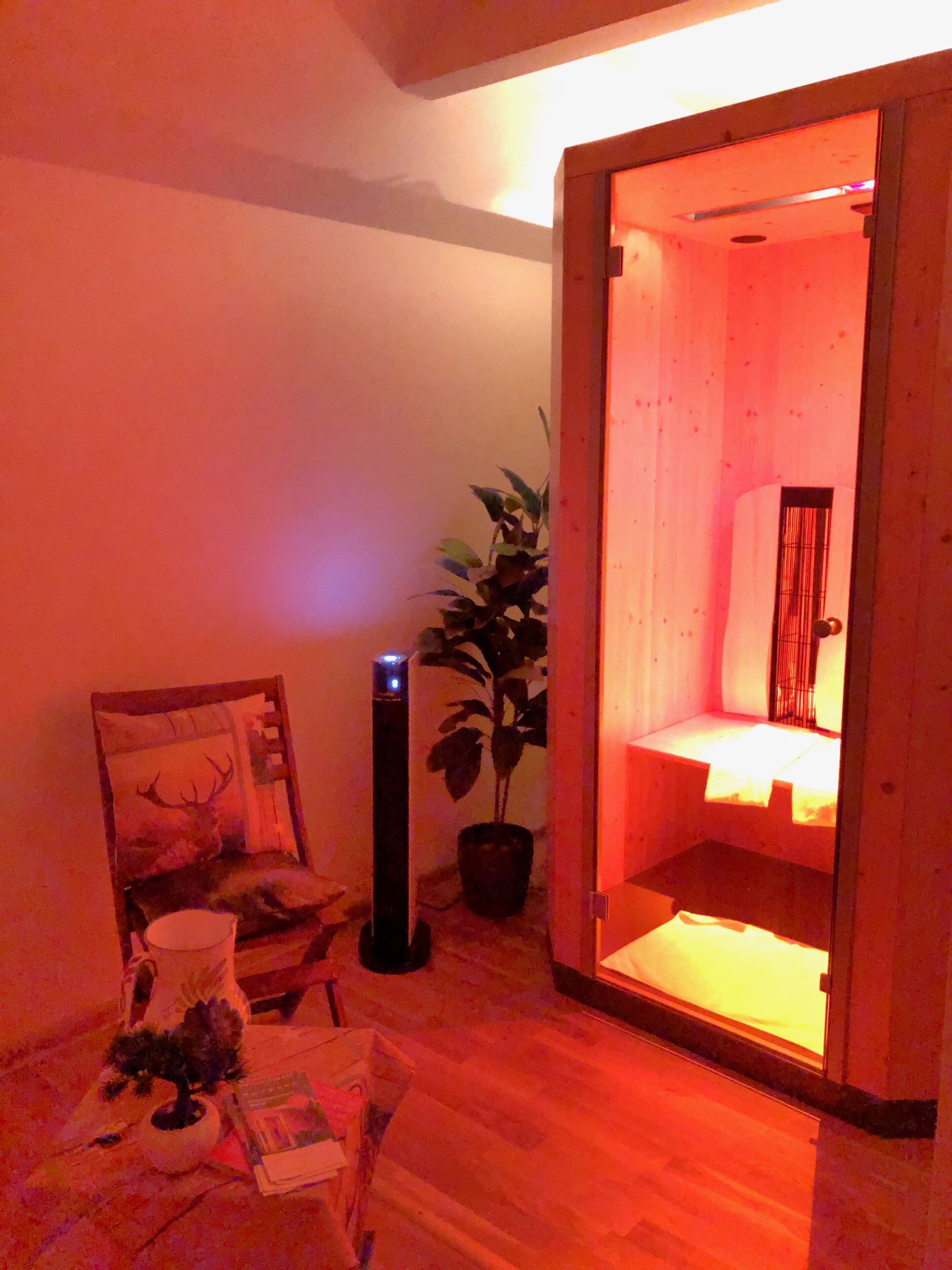 Una habitación con suelo de madera, una silla con un cojín estampado con un ciervo, una planta en maceta y una mesita de noche con una lámpara.