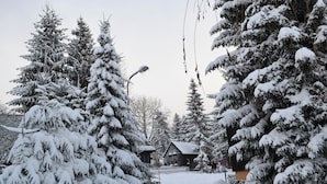 A snow-covered landscape with tall evergreen trees and a wooden cabin. - Apartments Fichtelberger Blick (Oberwiesenthal)