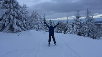 A person skiing on a snow-covered slope with trees in the background.