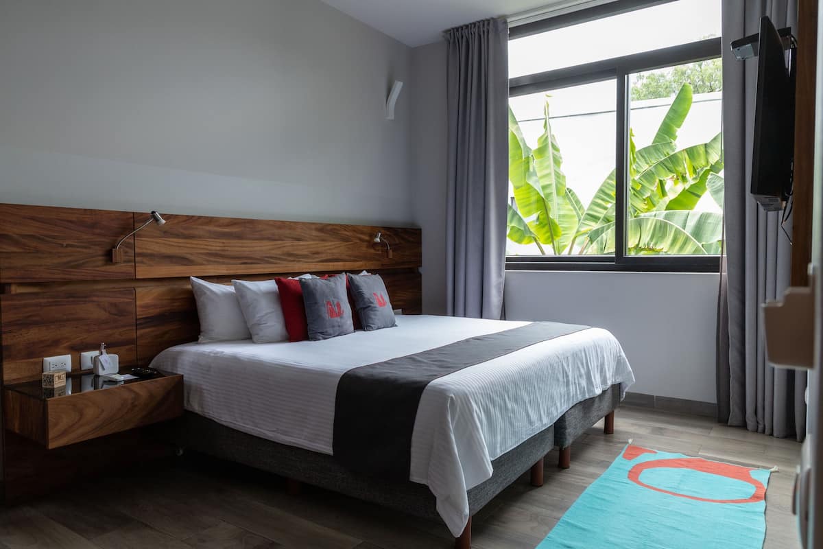 A modern bedroom with a wooden headboard, a large bed with white and gray bedding, a bedside table with a lamp, and a view of greenery through the window.