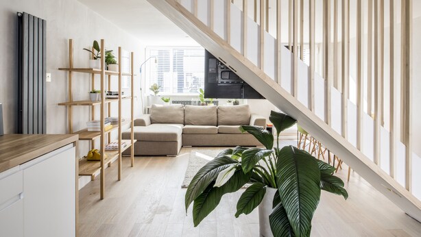 Un espace de vie moderne comprenant un escalier en bois, un coin cuisine et un espace détente avec un canapé et des plantes.