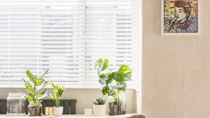 Un salon avec un canapé beige, une fenêtre avec des stores et plusieurs plantes en pot disposées sur un rebord de fenêtre.