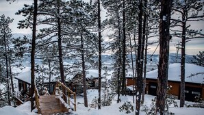 Exterior - Gite du haut des arbres (Saguenay)