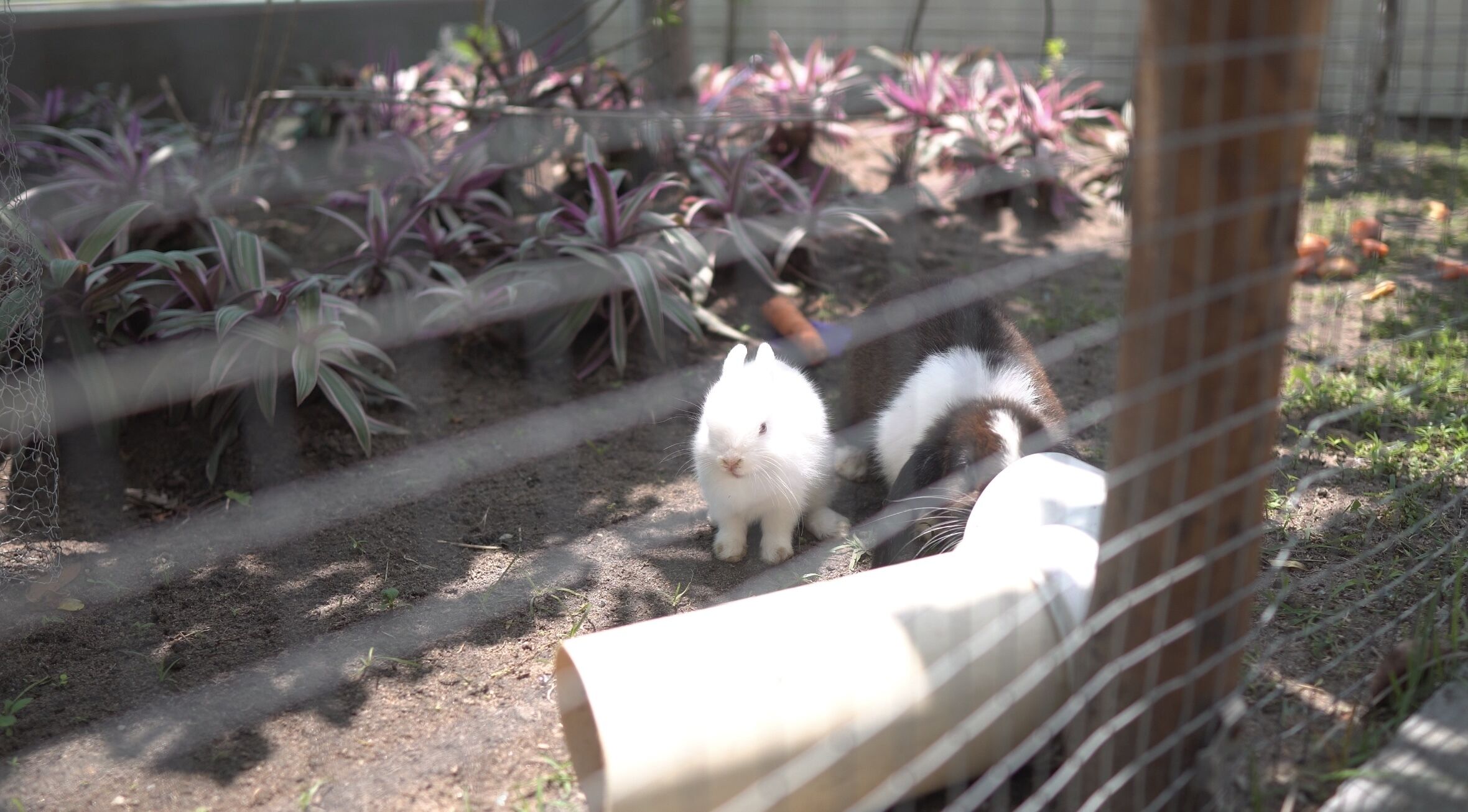 Foto - Altiplano Hotel