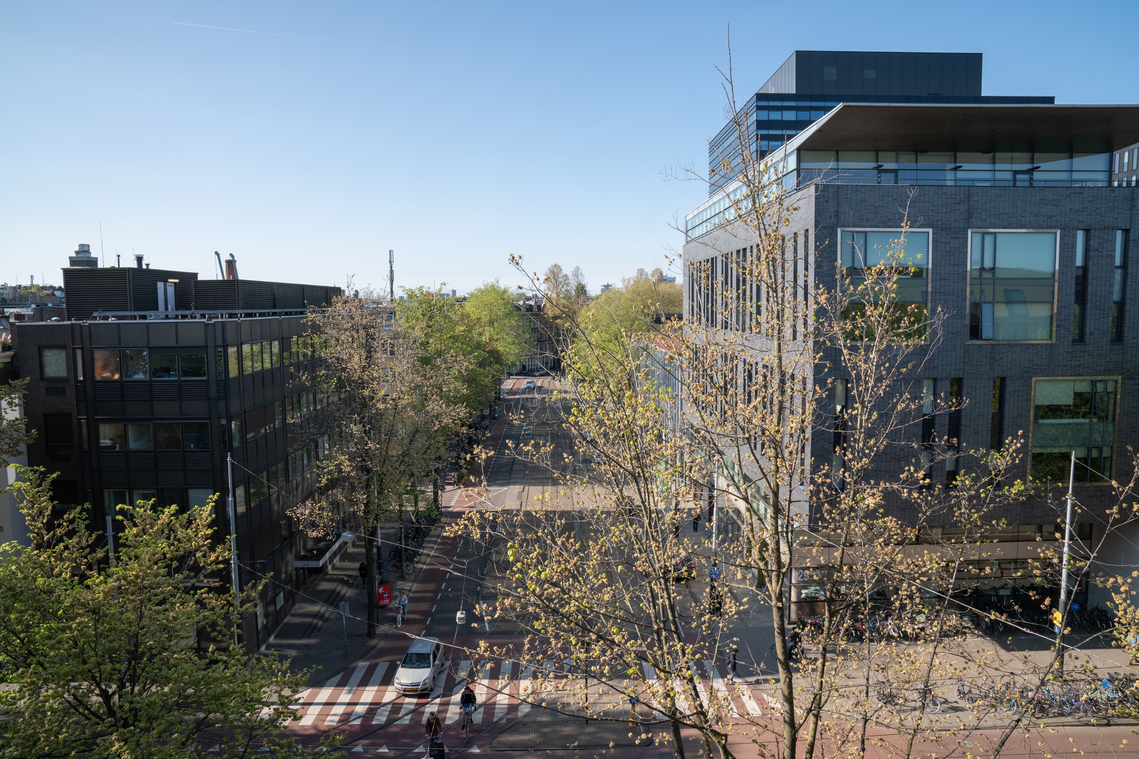 room, 1 king bed (club access) | view from room