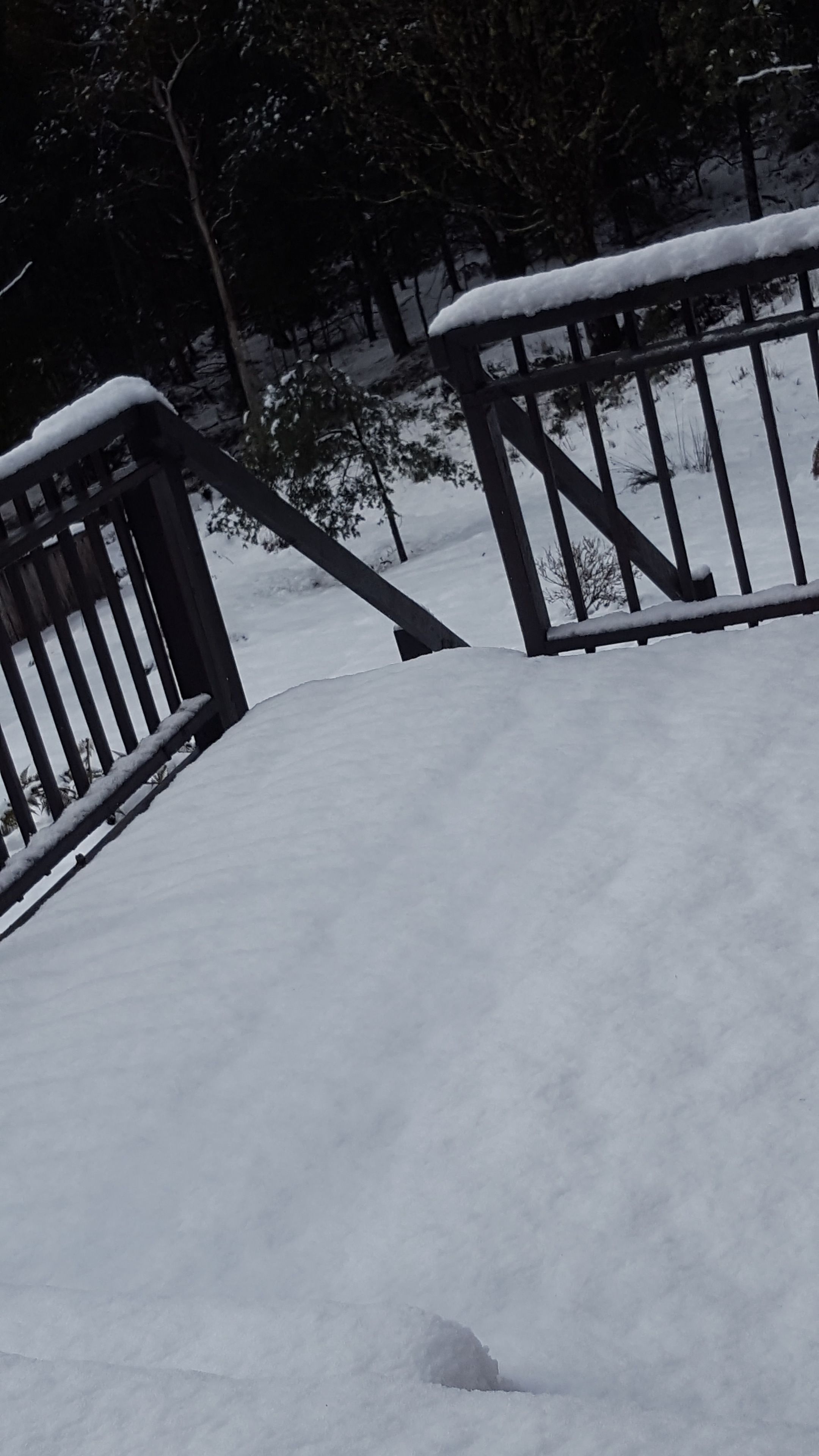 A snow-covered wooden deck with railings, surrounded by trees and a snowy landscape.