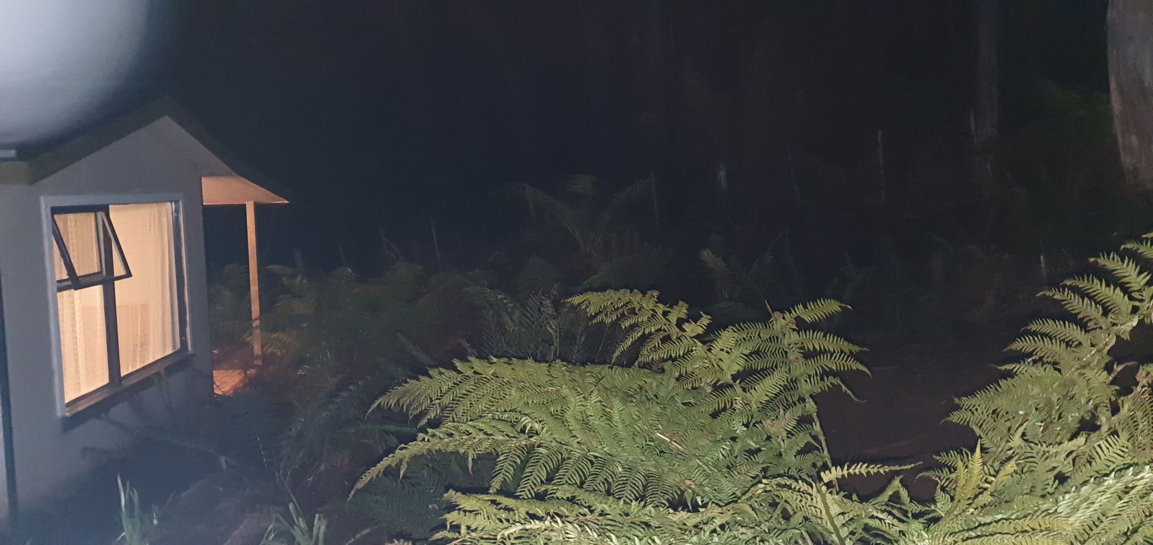 Cradle Alpine Retreat — image 23
