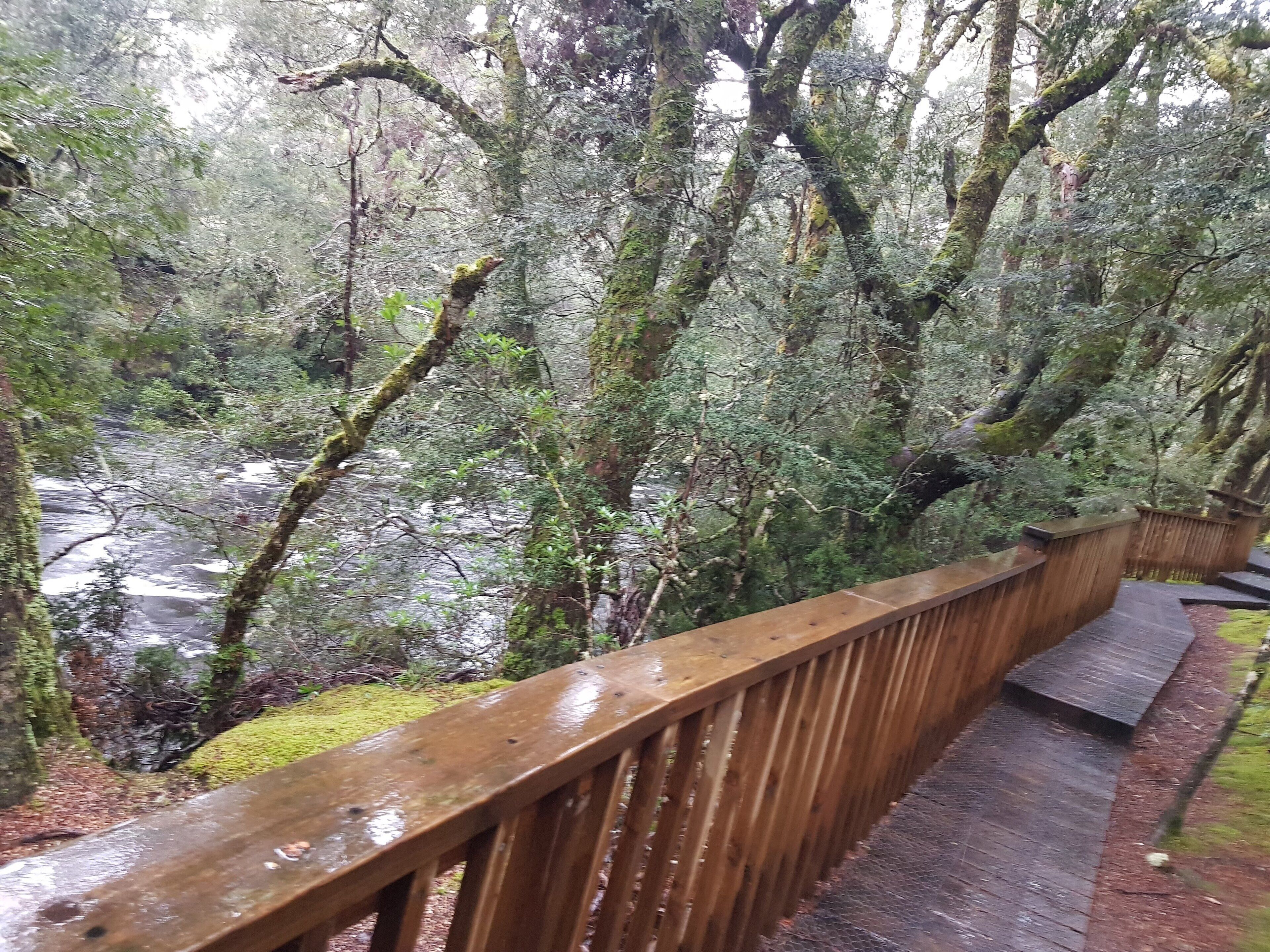 Cradle Alpine Retreat — image 25