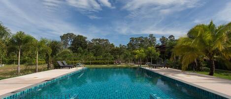 Una piscina rectangular con bordes de azulejos, rodeada de palmeras y sillones de descanso, bajo un cielo despejado.