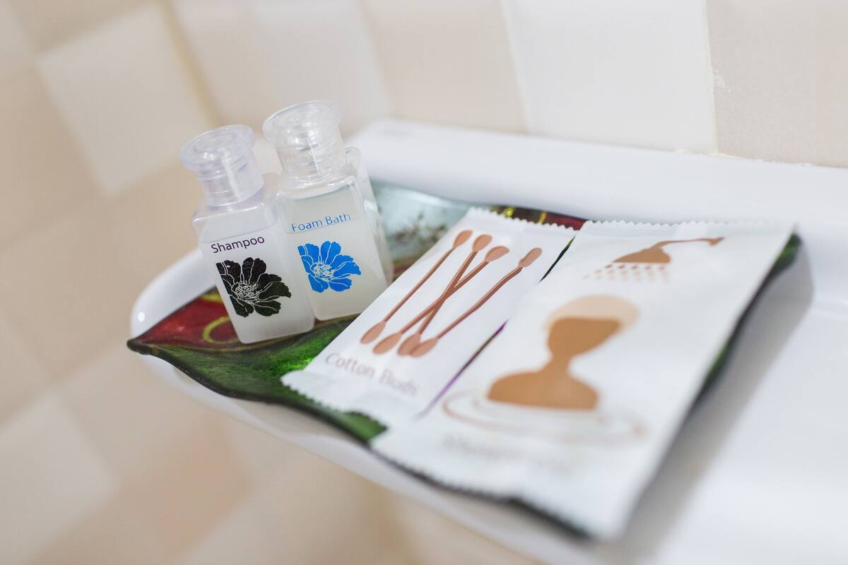 shower, free toiletries, hair dryer, slippers