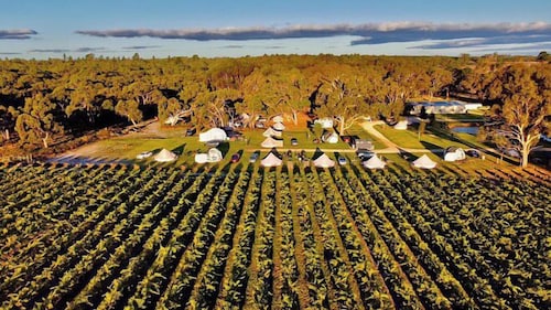 Coonawarra Bush Holiday Park