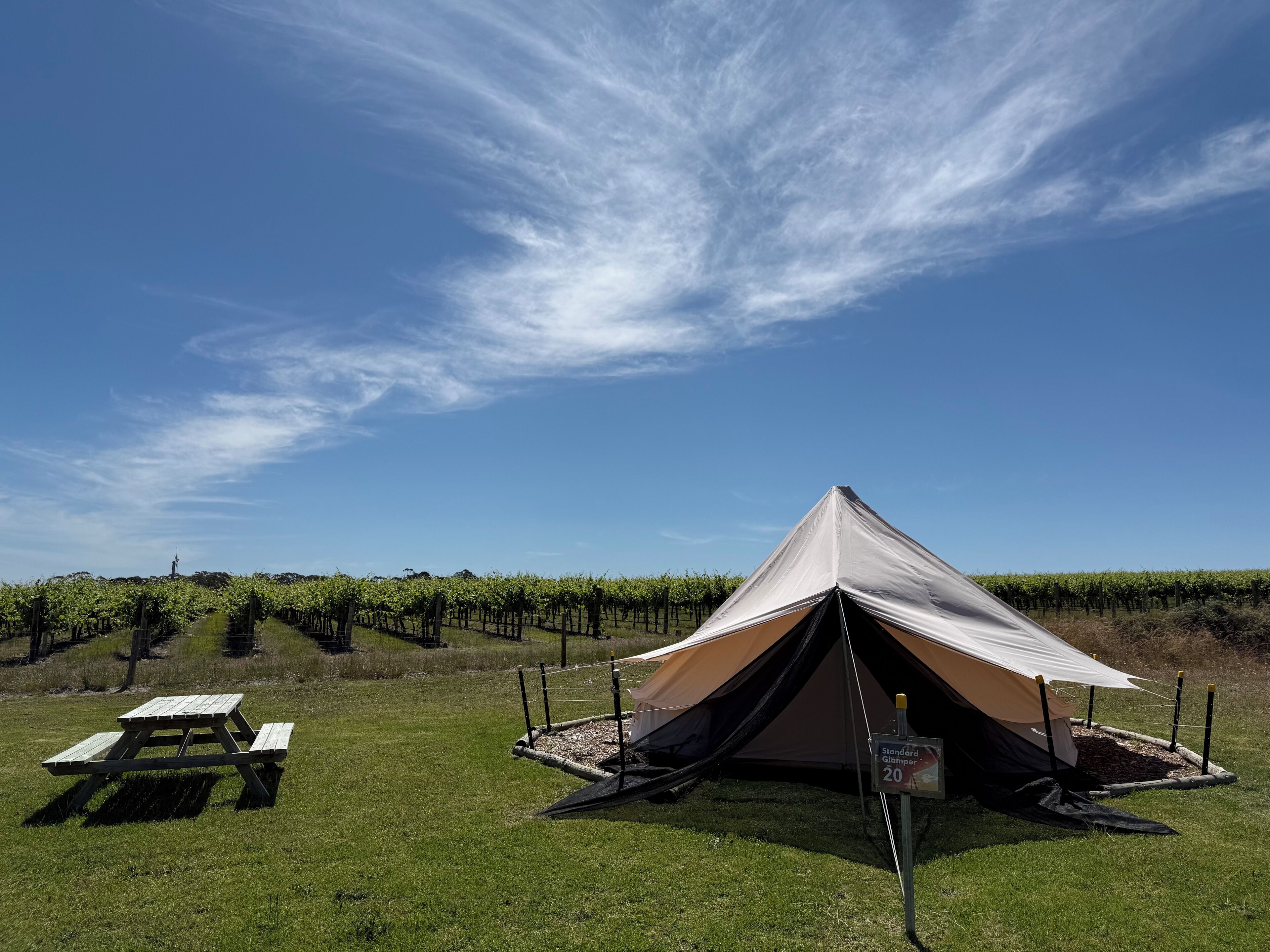 A tent set up in a grassy field with a picnic table nearby.
