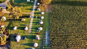 Vista aérea de un camping con yurtas dispuestas en filas, un camino de tierra y una zona verde con árboles.
