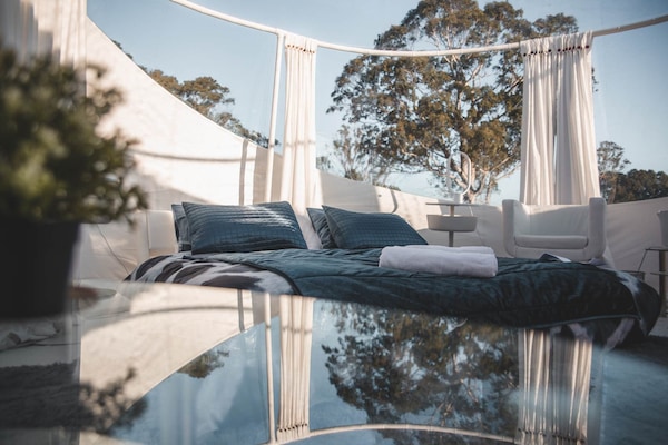 Premium bedding, iron/ironing board, WiFi, bed sheets
