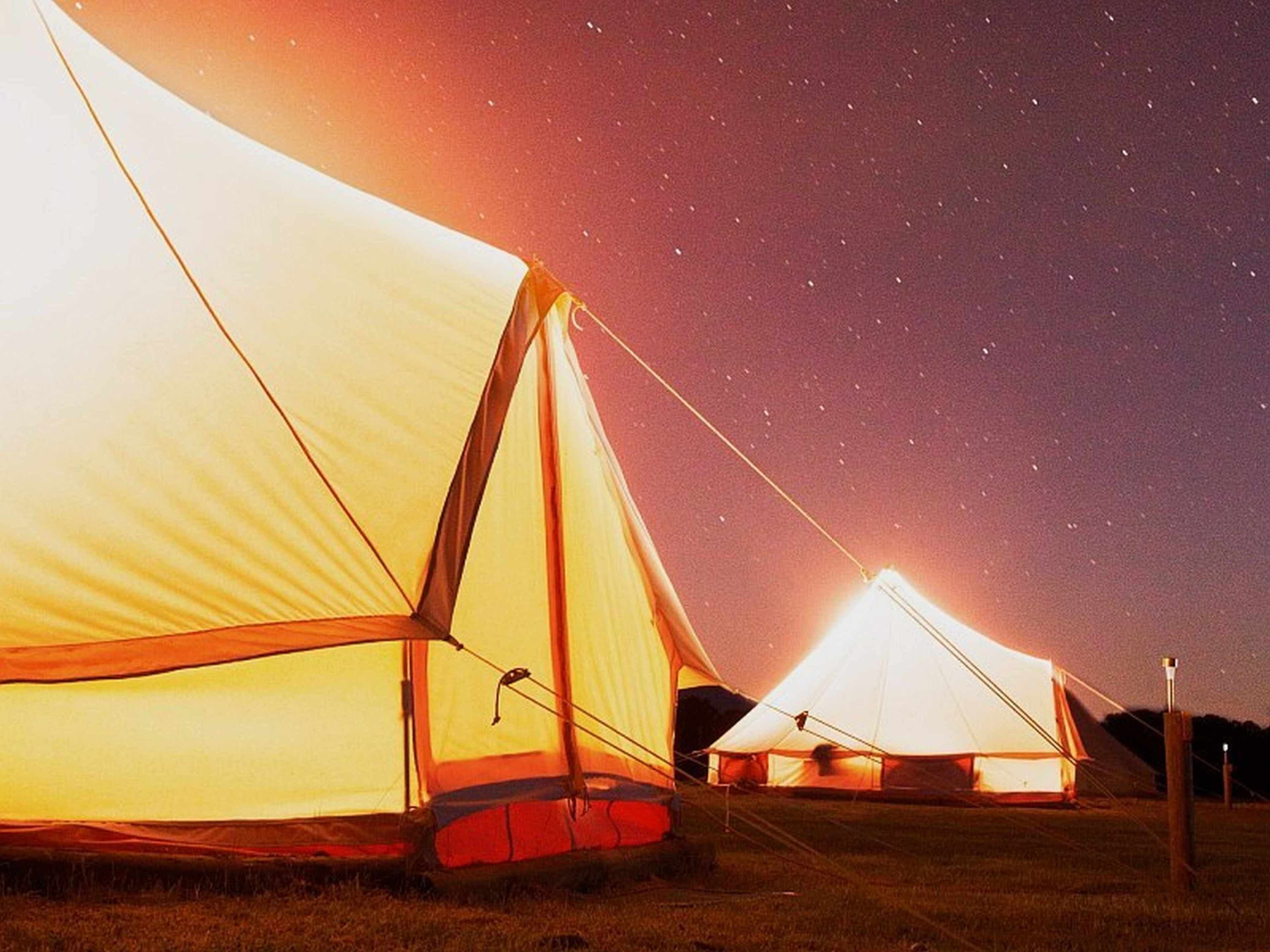 A series of tents set up in a grassy field under a starry night sky.