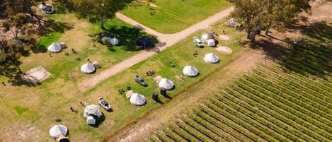 Luftaufnahme eines Campingplatzes mit Jurten, einem Schwimmbad und Reihen von Weinbergen.