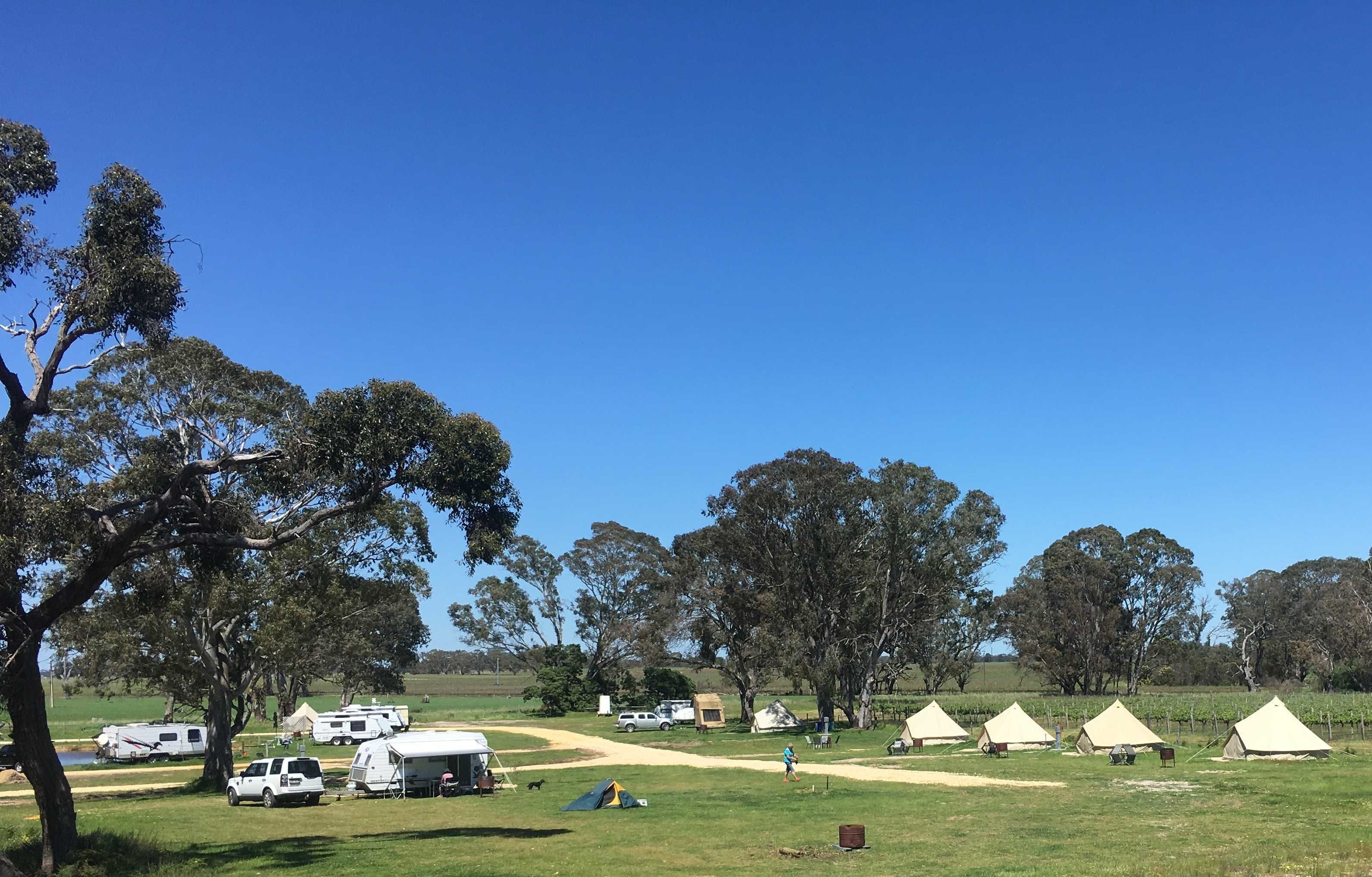 Un terrain de camping avec des tentes et des camping-cars, entouré d’arbres et de vastes champs.