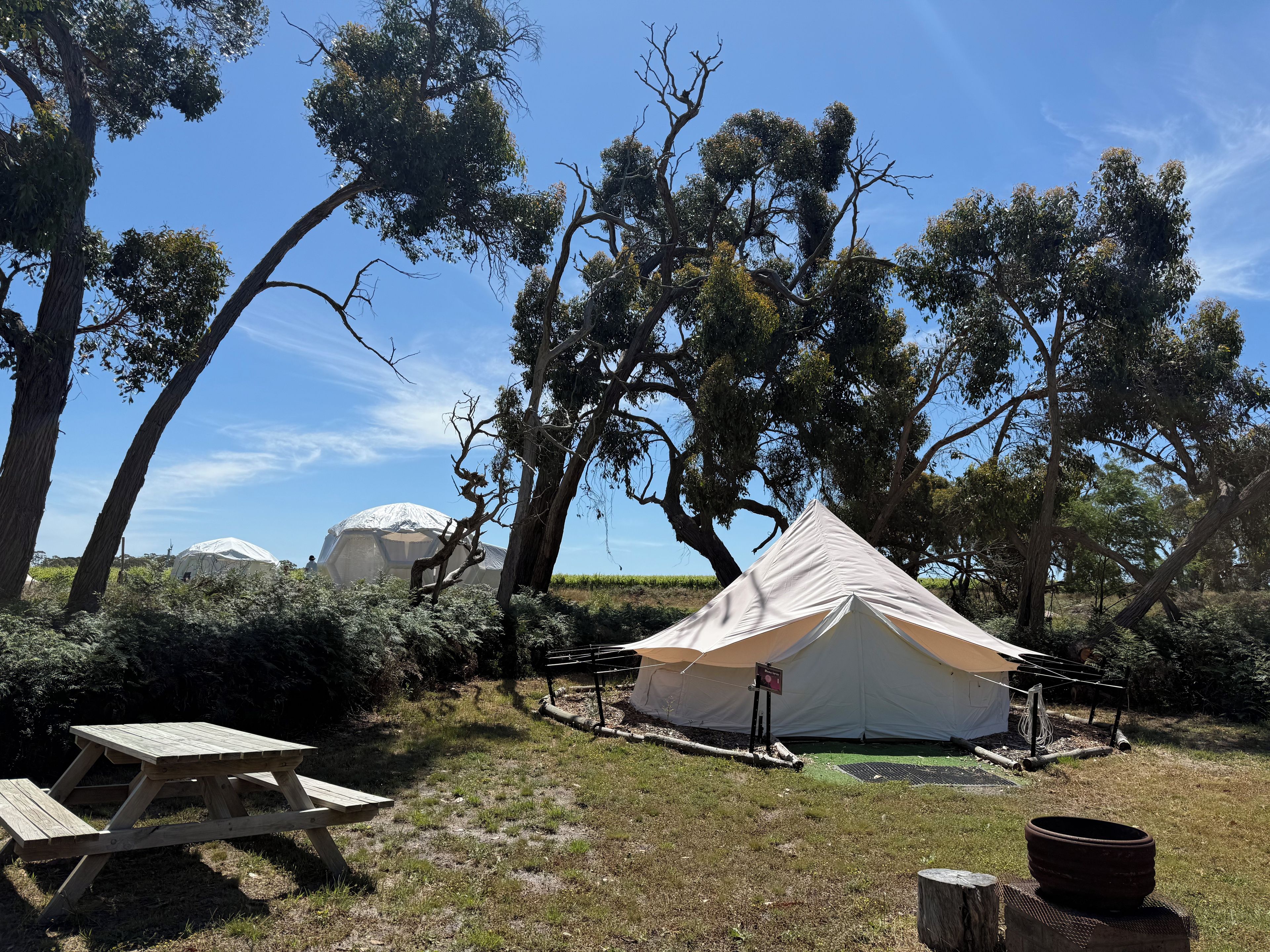 A camping site with a large tent, picnic table, and trees.