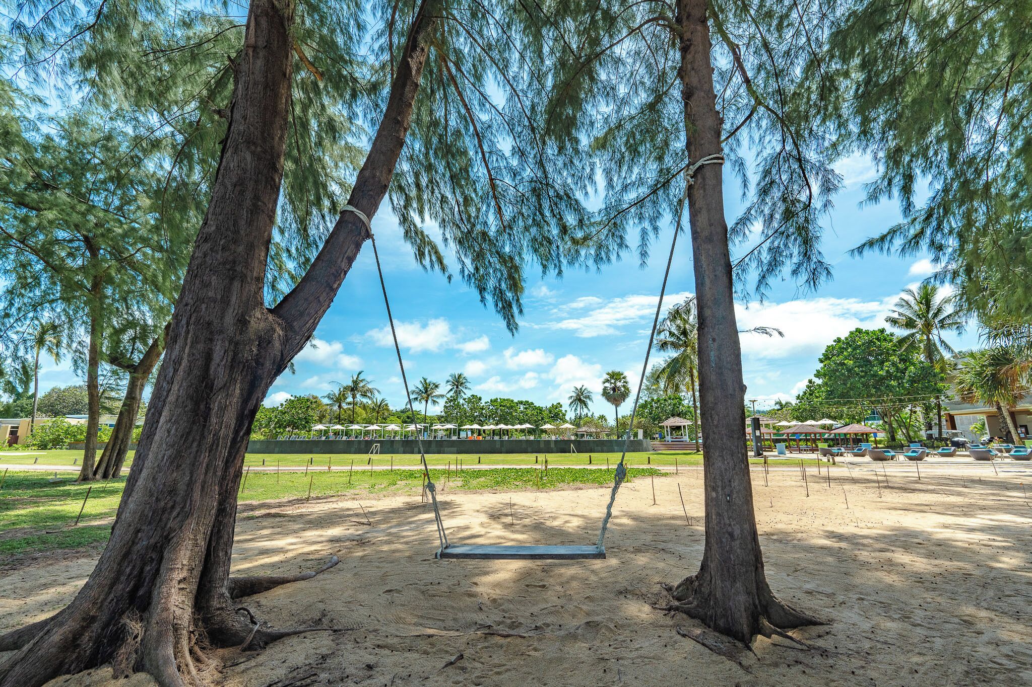 A beach with a swing set, palm trees, and a clear sky.