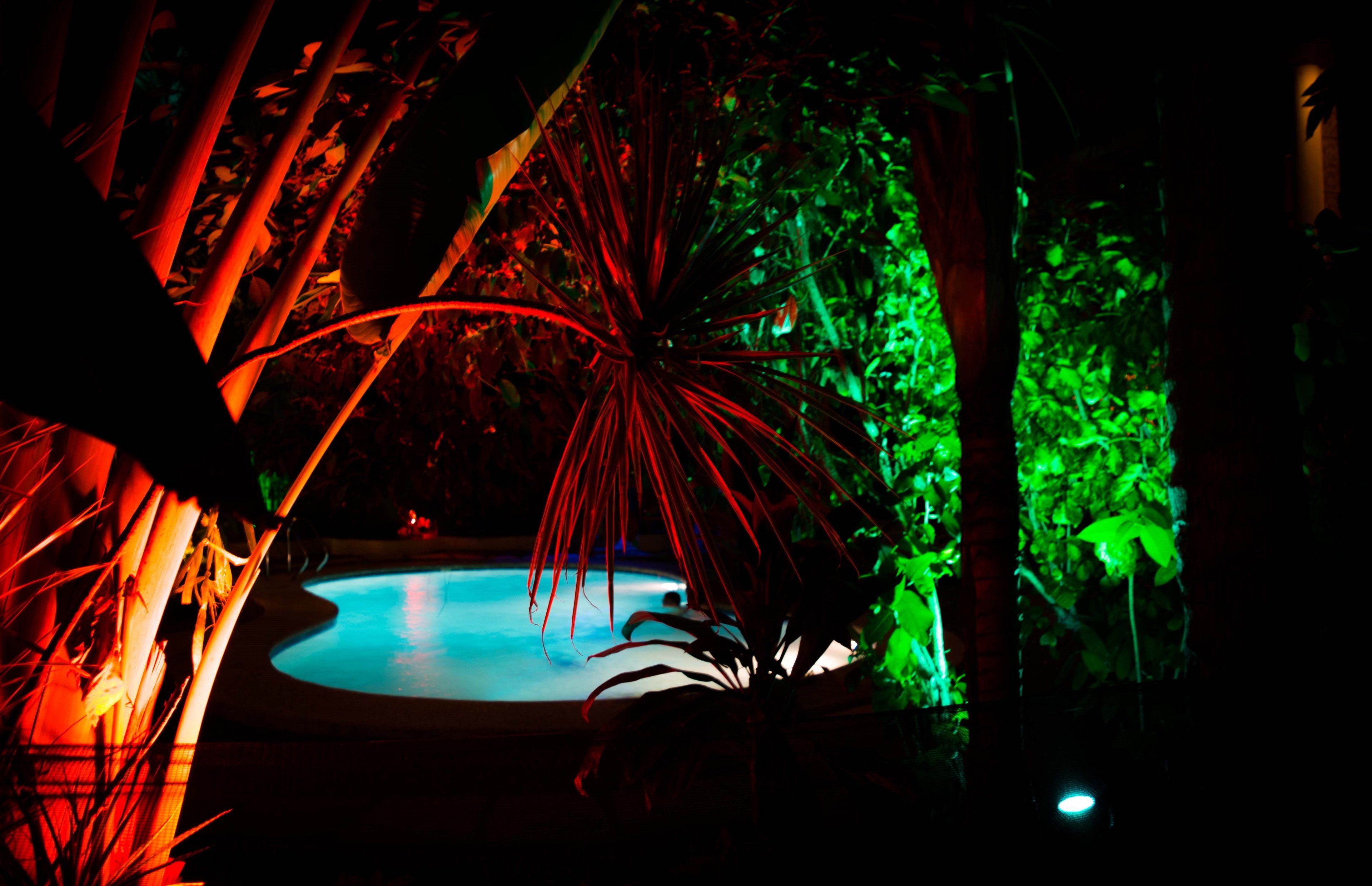 outdoor pool, pool loungers